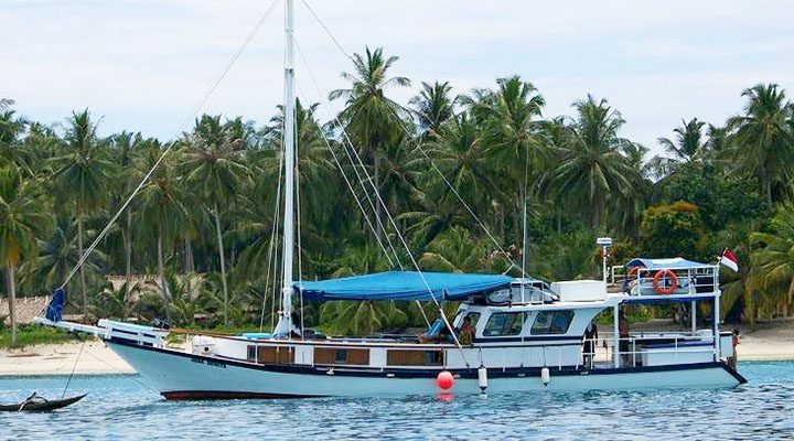 nusa dewata surf charters in Mentawai islands budget